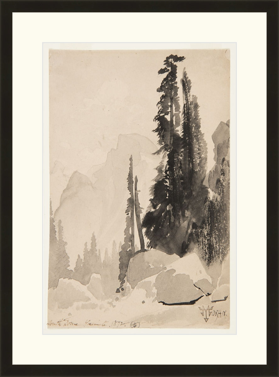 Antique Trees Drawing