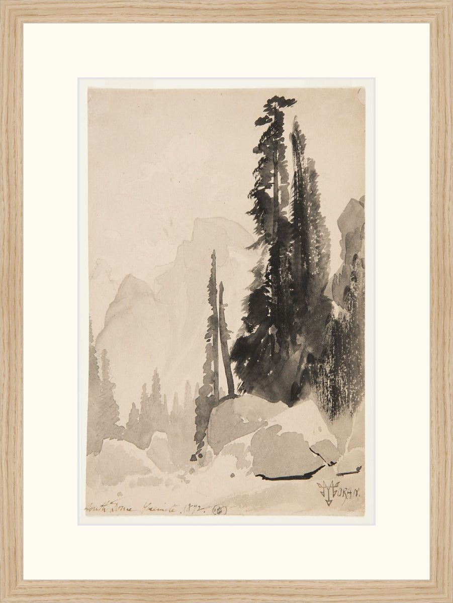 Antique Trees Drawing
