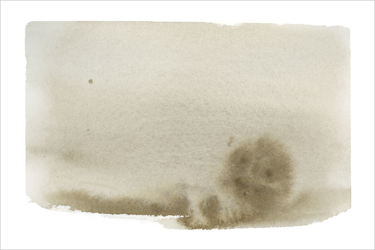Olive Wash