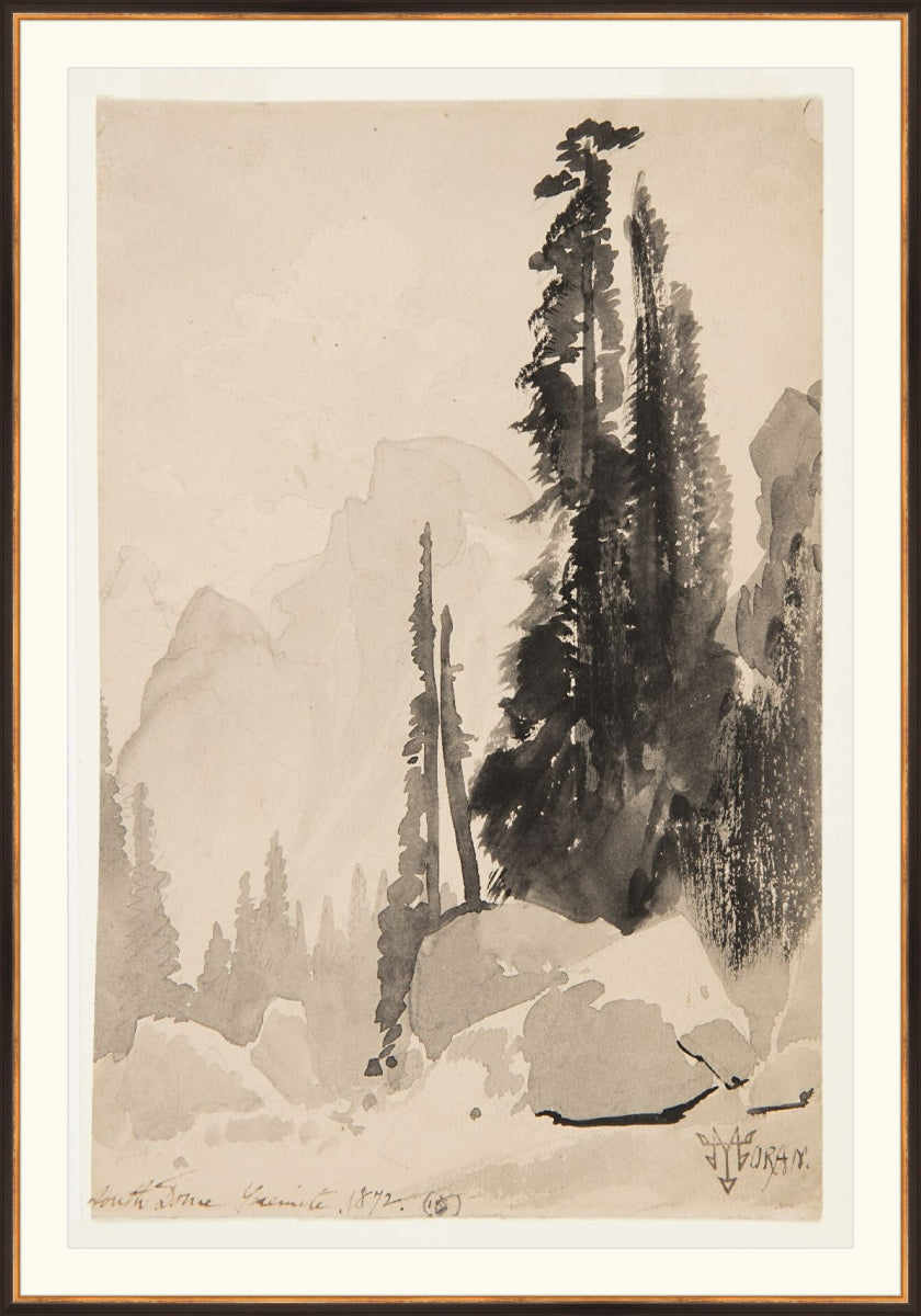 Antique Trees Drawing