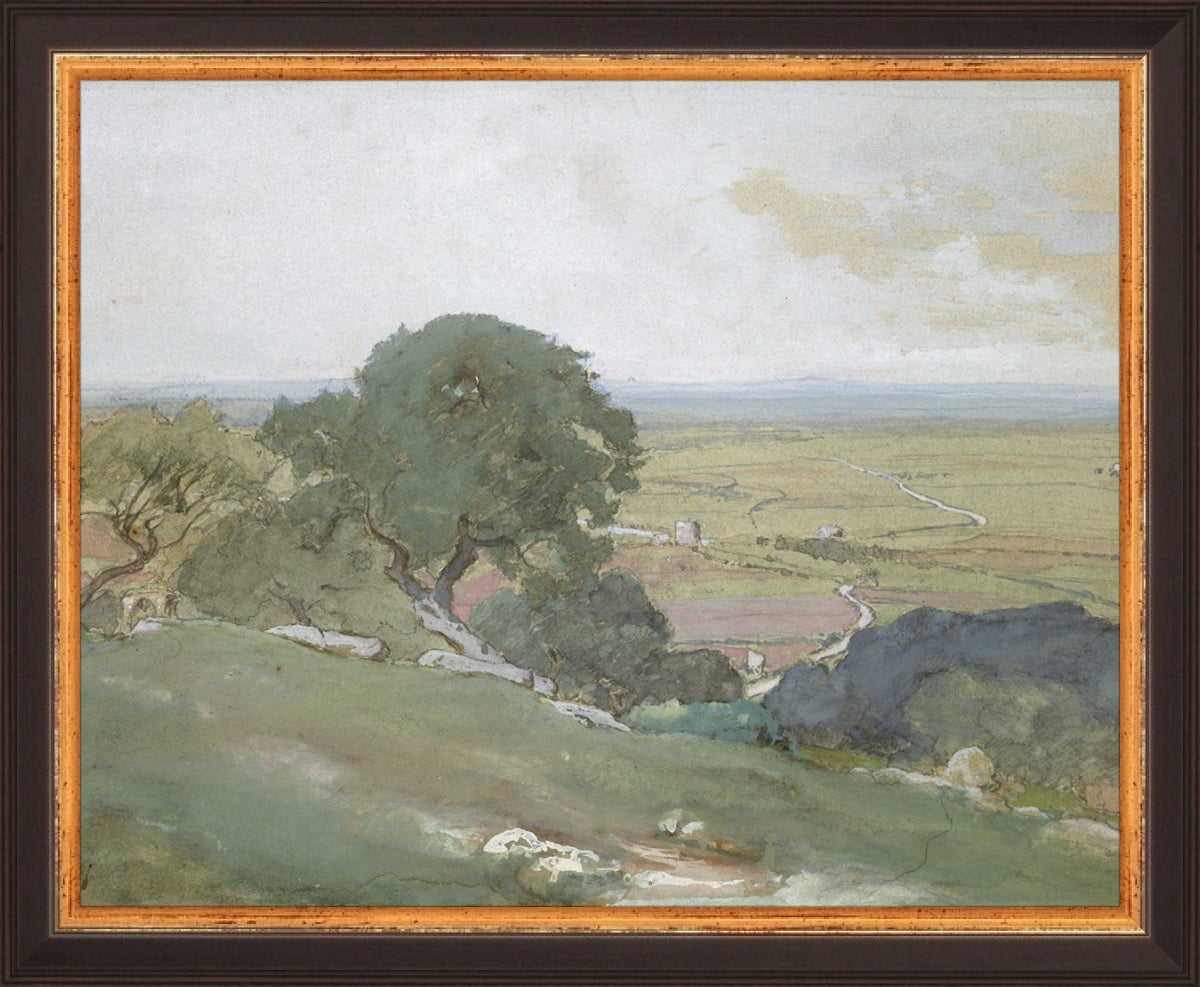 Olivos