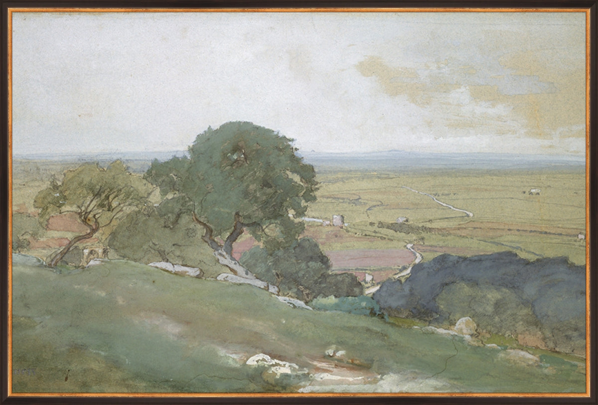 Olivos