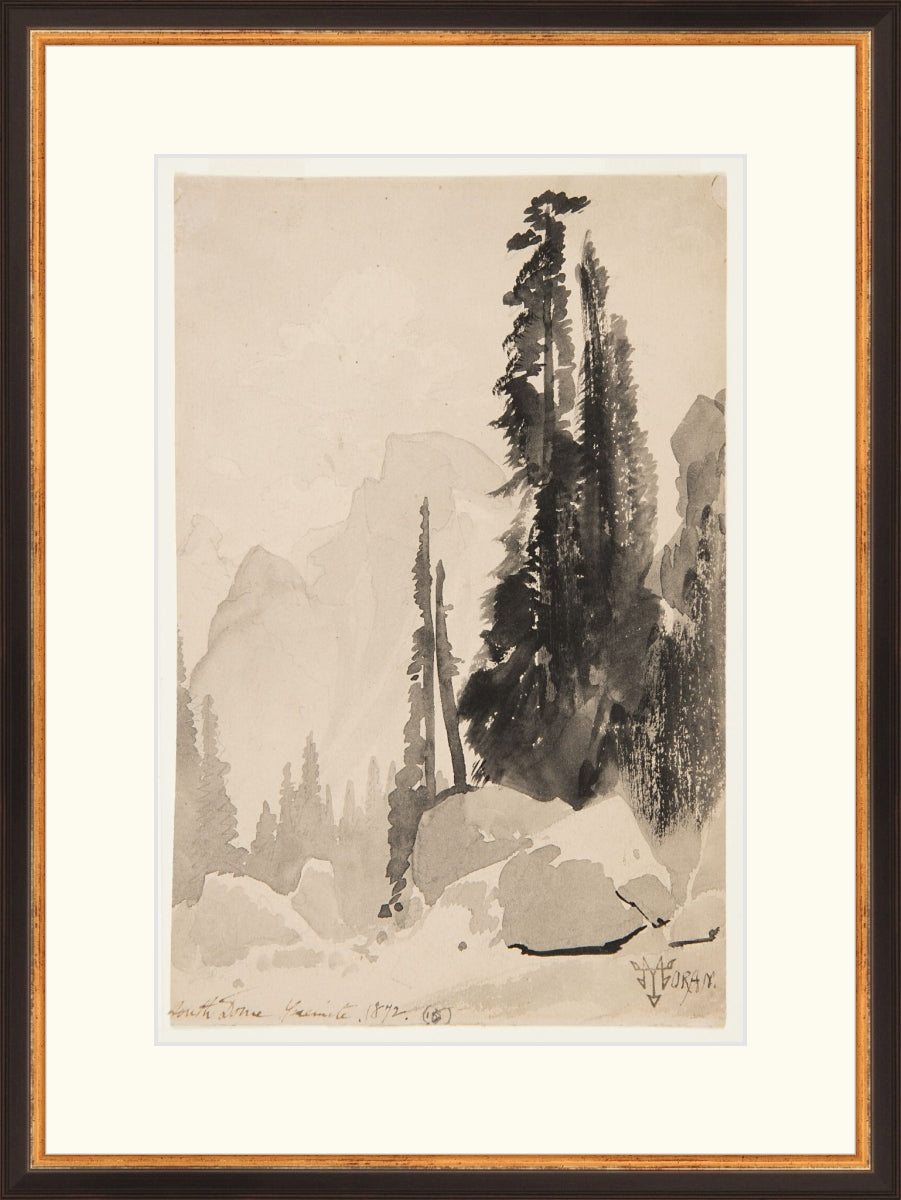 Antique Trees Drawing
