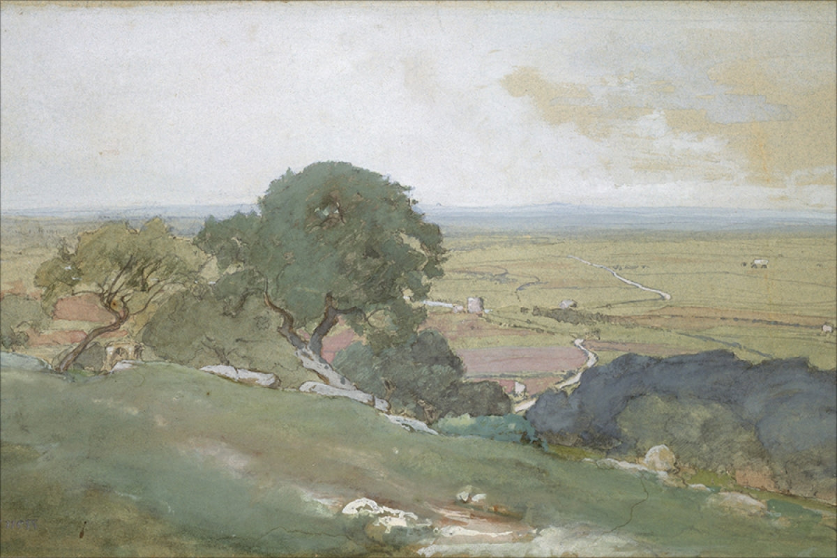Olivos