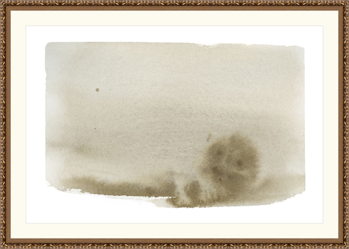 Olive Wash
