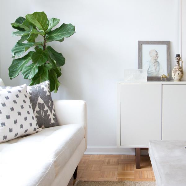 Rex Designer Pillow Cover | Natural