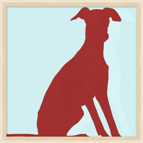 Colorful Whippet 1